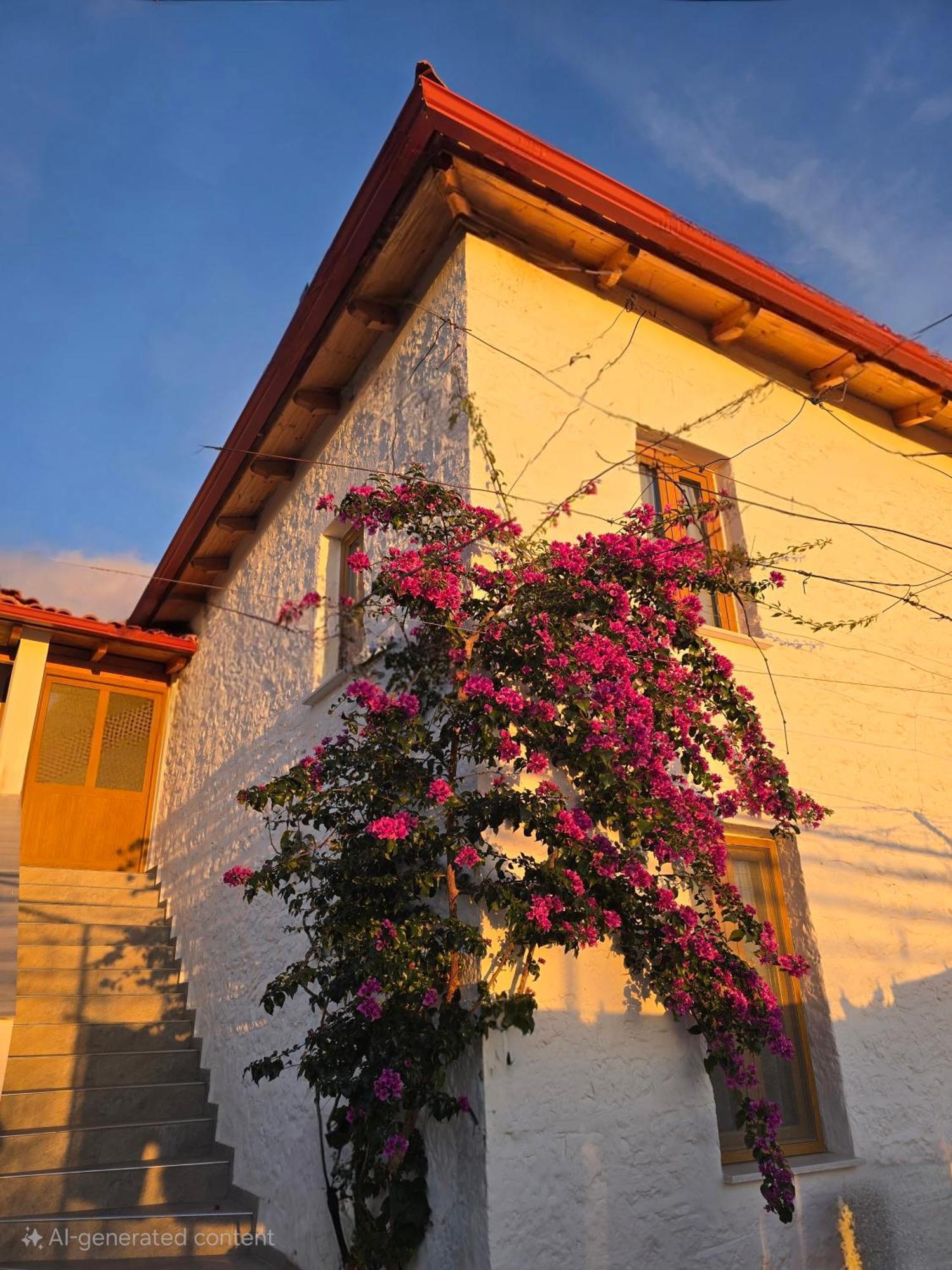 Guest House Luiza Borsh Exterior photo