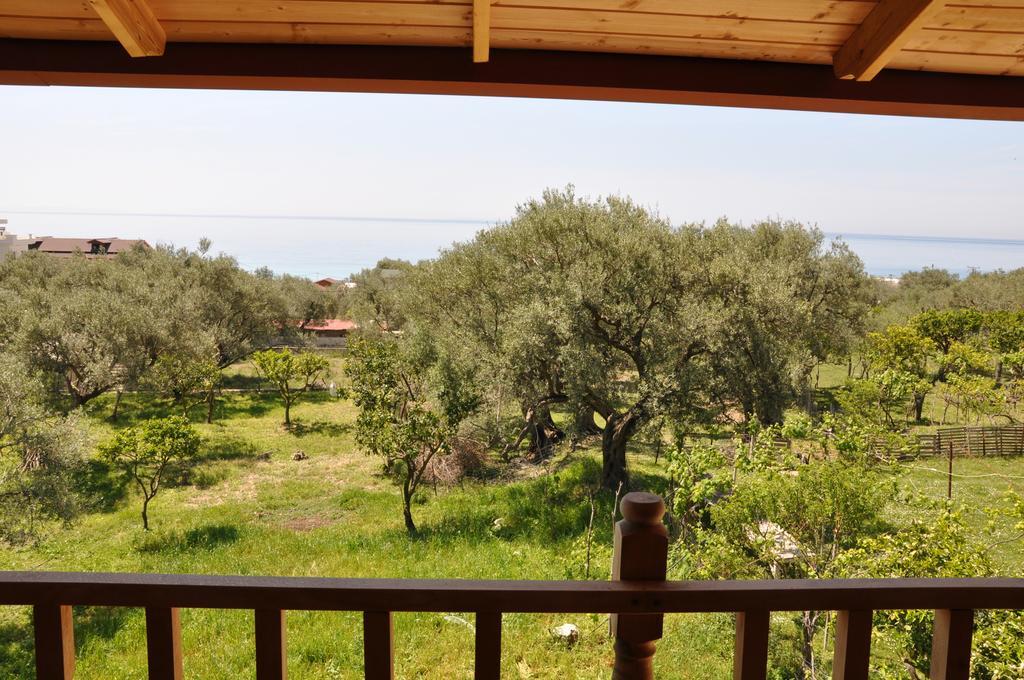 Guest House Luiza Borsh Room photo