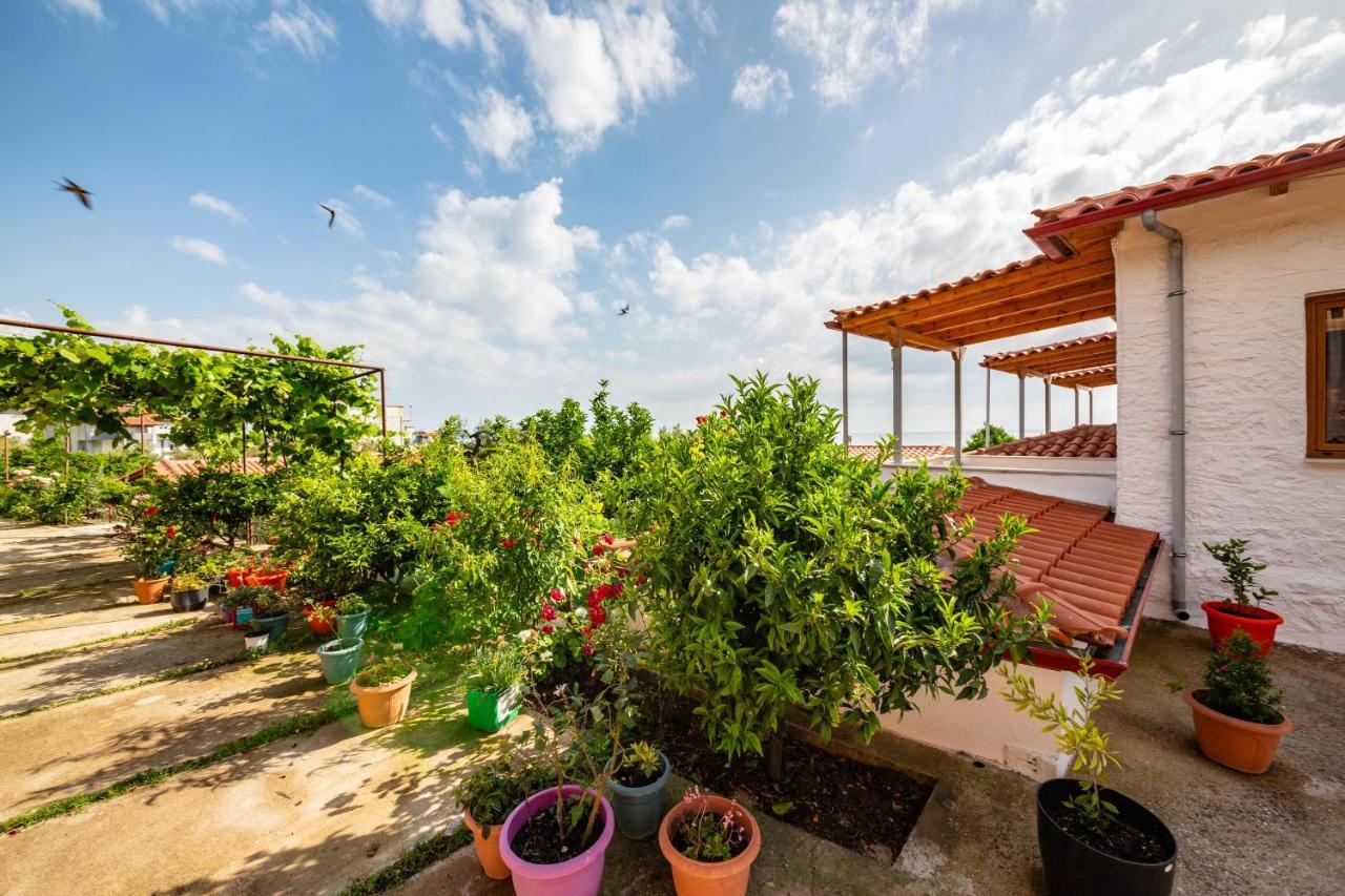 Guest House Luiza Borsh Exterior photo