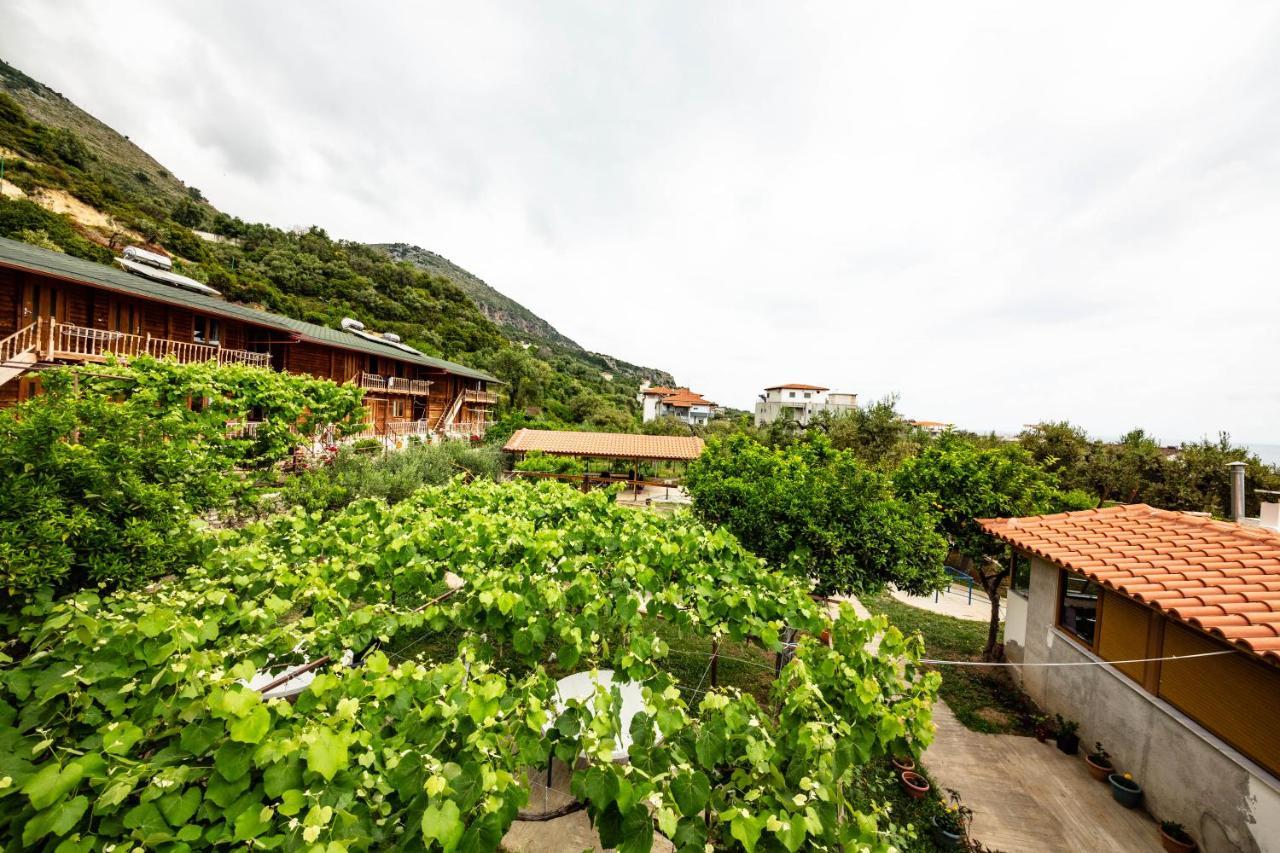 Guest House Luiza Borsh Exterior photo